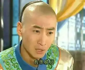  还珠格格又重播了,然而我们已经没有寒假了