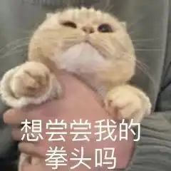  表情包认识你之后,我的表情包再也凶不起来了