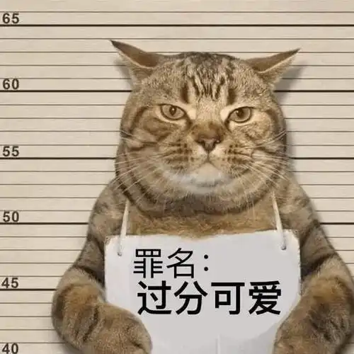  你沦陷个啥,我长得很沼泽吗第244期喵表情