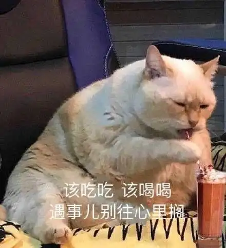  女孩子和你聊天不用表情包是对你没意思吗