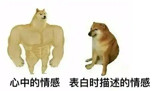  近期热门表情包精选