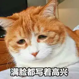  你常用的宠物表情包大揭秘