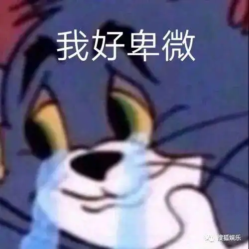  娱乐日报陈小纭旧照曝光认不出张雨绮力挺鹿晗公开恋情吴倩张雨剑被偶遇