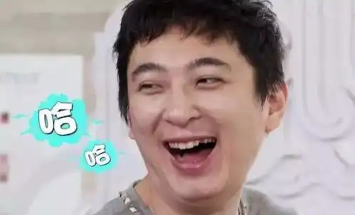 哈喇子表情包王思聪