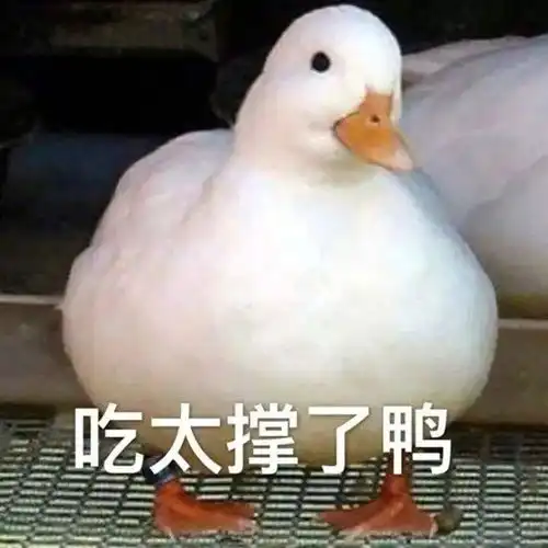  面对疫情,一个真正的大国是什么样子