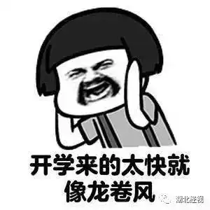  哈哈哈小男孩上幼儿园,第一天就被劝退了