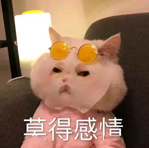  头像对方与你发起恋爱共享