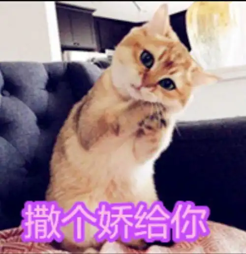  a收藏夹