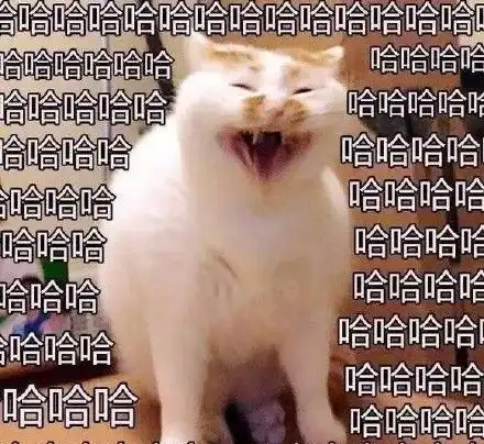 每日一笑,网红猫去世,我们的表情包回喵星球了