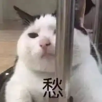  拿走这组的表情包,从此节操是路人表情包