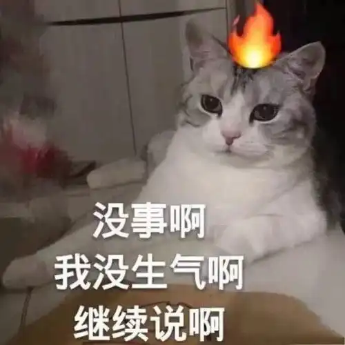  沙雕表情包合集照目前这个形式来看,我应该是失宠了