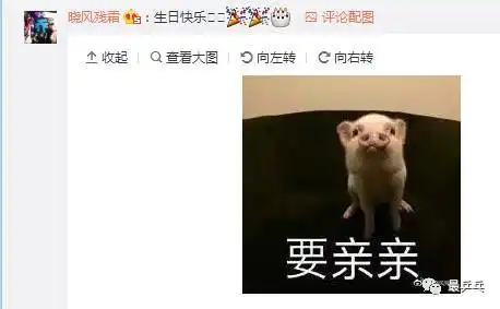 许昕微博卖萌,大宝贝丁宁带粉丝发表情祝生日快乐