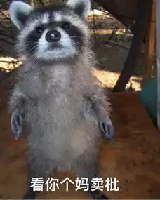  浣熊表情包