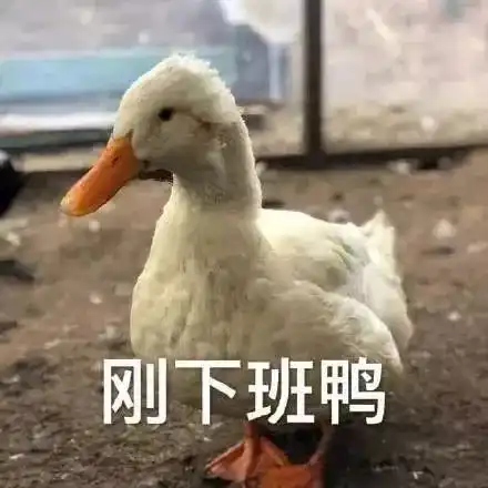  在南宁,最难的不是上班,是上下班
