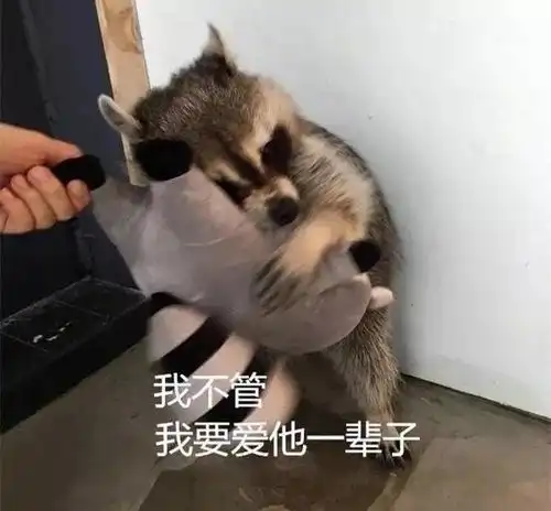  追星女孩必备的表情包,快快收走