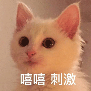  热门搞笑表情包图片可爱真的可以为所欲为
