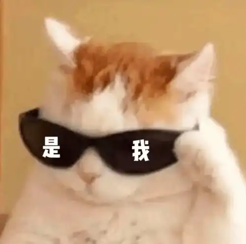 扁嘴伦表情包情侣头像