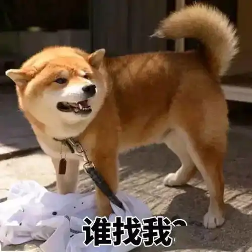  哪个部位在激动时会变大67倍没想到你是这样的医生