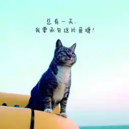  焦你买房我家想申请公共租赁住房,需要满足哪些条件读者问答第六期