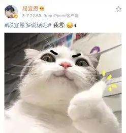 段老师隔空回应粉丝呼声表情包加上颜文字萌翻天