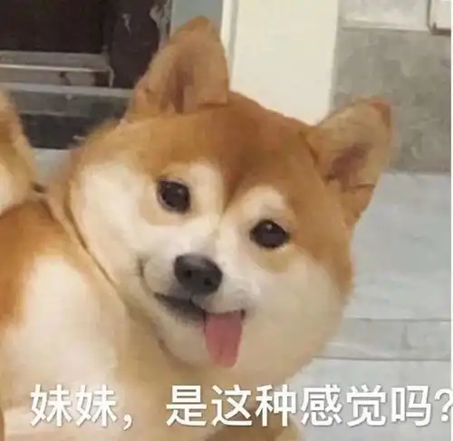  表情包老娘化完妆就去撕你