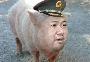  二手铃木北斗星e手动豪华型