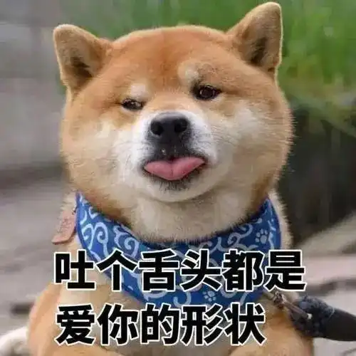  笑死,狗子快来看沙雕狗子表情包哈哈哈哈