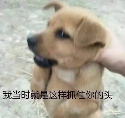  垃圾你就是一个垃圾不会改变