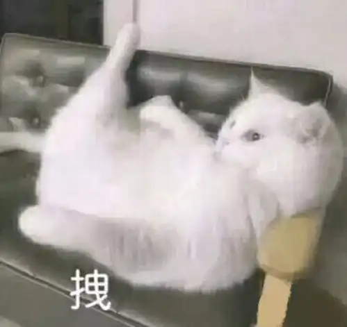  四六级四六级来啦,快安排起来吧