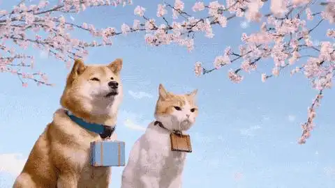 帮我关下灯表情包柴犬猫