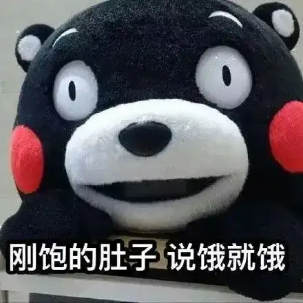  熊本熊表情包get
