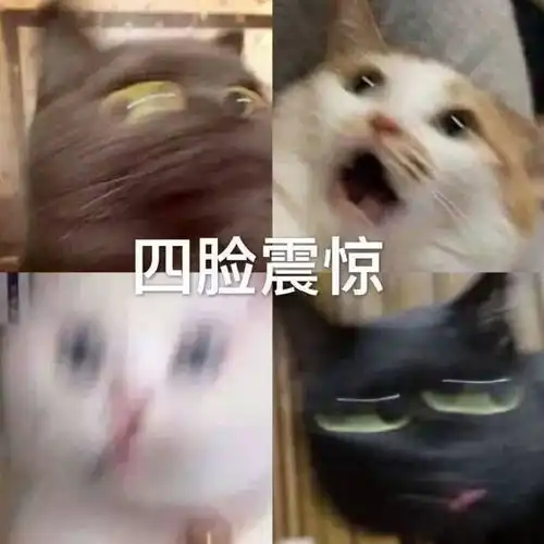  今日好笑表情包