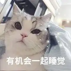 撩女友表情包猫叫
