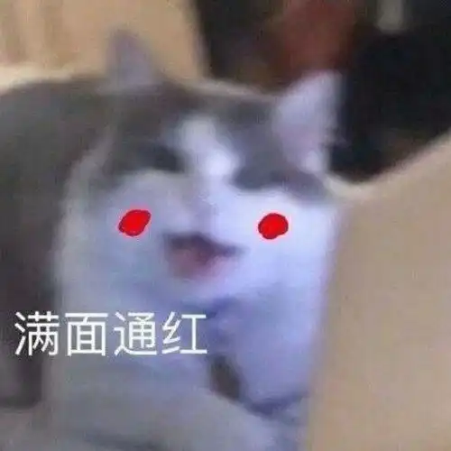  我的收藏