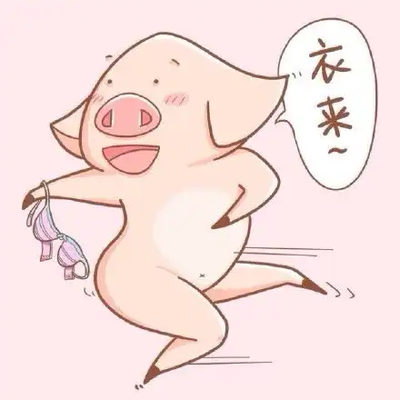  太坏了,准备拿眼睛去瞪暹罗猫表情包