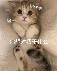  斗图表情包老公,我来了
