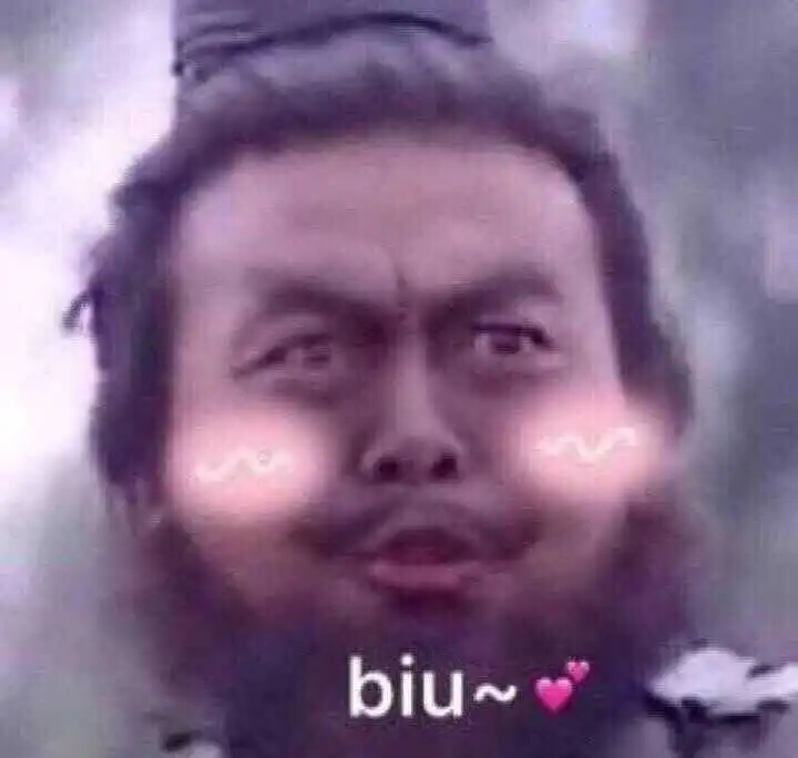各个表情包的意思张飞