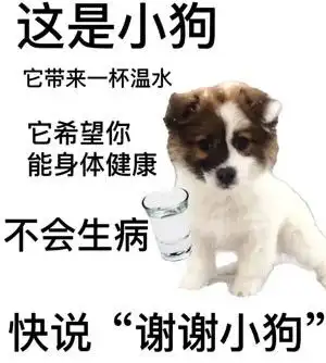  抖音谢谢小狗表情包有哪些谢谢小狗表情包分享咖绿茵手游站