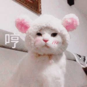  微信qq最新斗图表情包