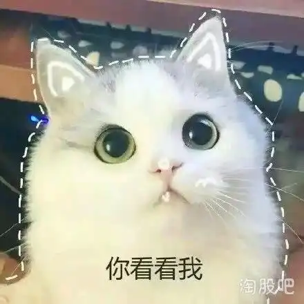  对于一个懒鬼,除了蒙还有什么别的办法