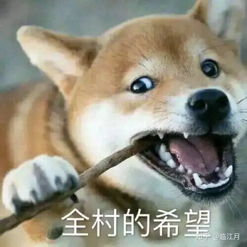 小哈皮表情包幽默笑话