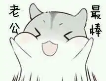  仓鼠表情包夸老公表情包合集老公最帅,老公最棒