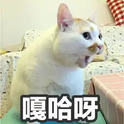  网红猫楼楼去世变小天使表情包我以后就是小天使啦