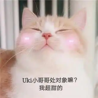  表情包软萌猫咪撒娇卖萌系列软妹必备