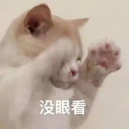  家庭微信群潜规则,别说你没中招
