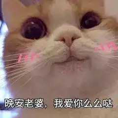  怎样给女友发晚安