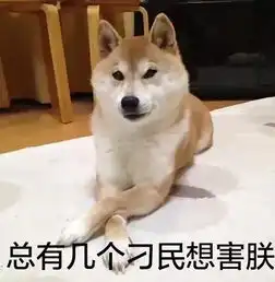  还有比哈士奇二的狗狗,它叫柴犬