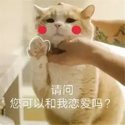  沙雕猫咪表情包