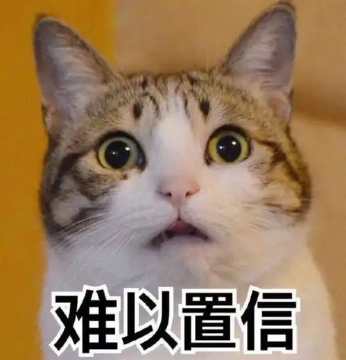  盘点那些我们常用作表情包的网红猫