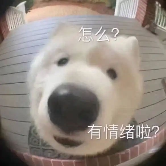  航海王更新慢长寿动画不易,且看且珍惜